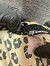 NY Invasion Animal Print Ivory Short Sleeve Blouse Size 3X - photo 7
