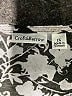 Croft & Barrow Black 3/4 Sleeve Blouse Size 1X - photo 7