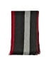 Fraas Gray Scarf One size - photo 2