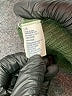 American Eagle Outfitters 100% Cotton Green Pullover Sweater Size L - photo 8