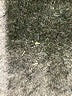 Sisters Gray Pullover Sweater Size M - photo 8