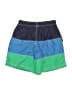 Hanna Andersson Blue Board Shorts Size 10 - photo 2