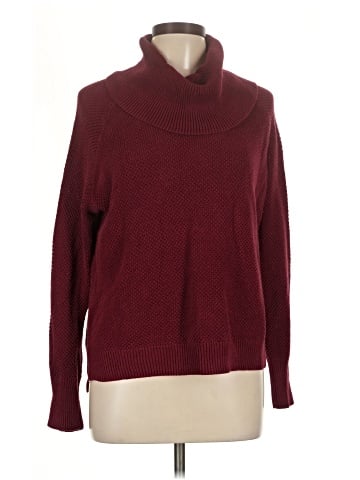 Max Studio Turtleneck Sweater (view 1)