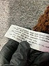 Zara Brown Pullover Sweater Size M - photo 9
