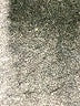Stradivarius Blue Jeans Size 2 - photo 5