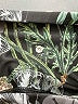 Unbranded Print Green Leggings Size XS - photo 8