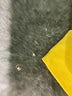 bryn WALKER Yellow Green 3/4 Sleeve Top Size XS - photo 8