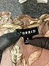 Torrid 100% Polyester Brown Long Sleeve Blouse Size 5X Plus (5) - photo 7