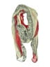 Unbranded Paisley Green Red Scarf One size - photo 1