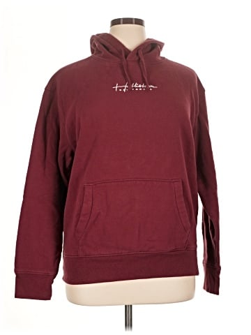 Hollister Pullover Hoodie (view 1)