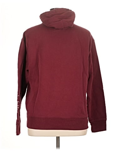 Hollister Pullover Hoodie (view 2)