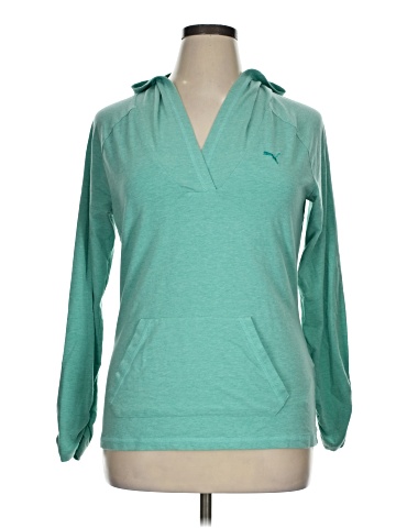 Puma Pullover Hoodie (view 1)