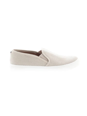Steve Madden Flats (view 1)