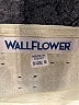 Wallflower Ivory Sleeveless Top Size S - photo 7