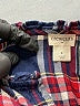 Crewcuts Outlet Plaid Blue Dress Size 4 - photo 3