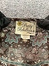 Pretty Rebellious Gray Short Sleeve Blouse Size M - photo 7
