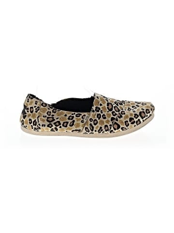 TOMS for Target Flats (view 1)