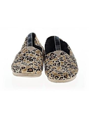 TOMS for Target Flats (view 2)