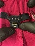 Tulle 100% Polyester Burgundy Dress Pants Size M - photo 7