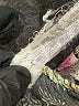 Zara Floral Black Casual Pants Size M - photo 8