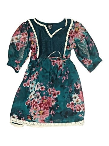 Zunie Dress (view 1)