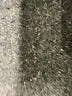 Forever 21 Brown Pullover Sweater Size 3X - photo 9