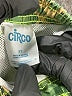 Circo Camo Green Board Shorts Size 2T - photo 3