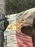 It's Our Time Tweed Gray Active T-Shirt Size XL - photo 7
