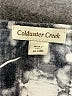Coldwater Creek 100% Polyester Silver Tank Top Size 18 - photo 7