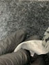 Daniel Rainn Animal Print Gray Long Sleeve Blouse Size L - photo 8