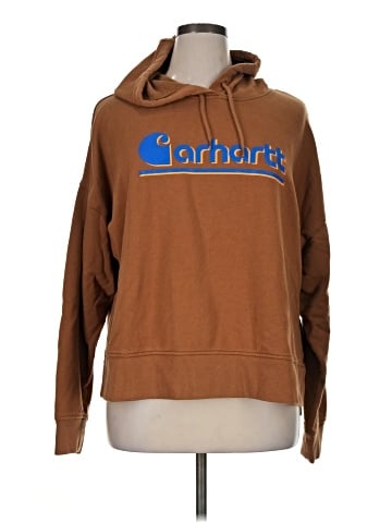 Carhartt Pullover Hoodie (view 1)