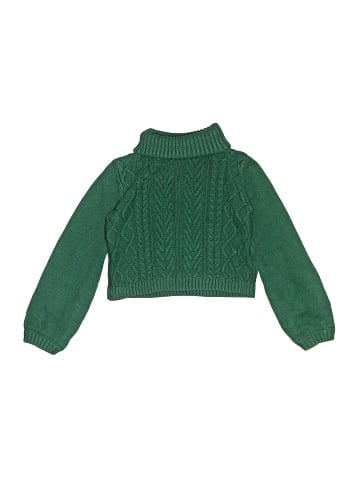 Max Studio Turtleneck Sweater (view 1)