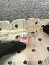 Assorted Brands Polka Dots Ivory Cocktail Dress Size S - photo 7