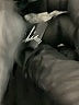 Assorted Brands Black Long Sleeve Blouse Size S - photo 7