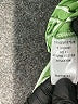 Staccato Stripes Green Long Sleeve Blouse Size S - photo 8