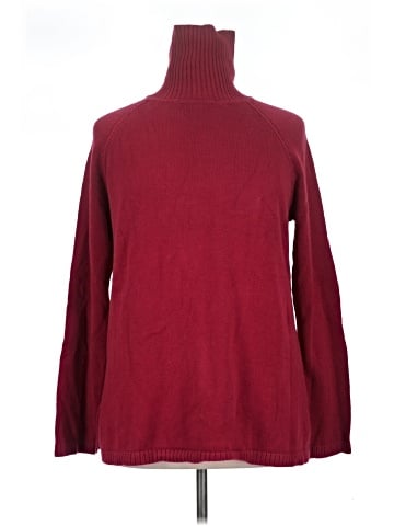 Jeanne Pierre Turtleneck Sweater (view 1)