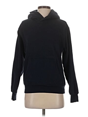 Aritzia Pullover Hoodie (view 1)