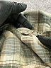 Weatherproof Plaid Green Long Sleeve Button-Down Shirt Size L - photo 7