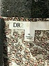 DR2 Animal Print Brown Short Sleeve Blouse Size XL - photo 7