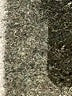 Venus Ivory Shorts Size 2 - photo 5