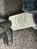Wrangler Jeans Co Blue Jeans Size 13 - photo 5