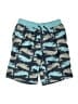 Gymboree 100% Polyester Teal Board Shorts Size 8 - photo 1