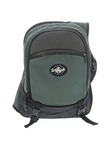Eagle Creek Backpack (view 1)