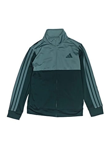Adidas Track Jacket (view 1)