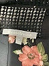 Daniel Rainn 100% Polyester Floral Black Short Sleeve Blouse Size XXL - photo 7