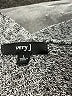 Very J Gray Cardigan Size L - photo 7
