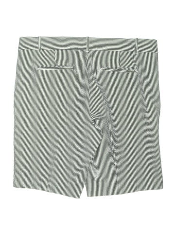 Ann Taylor Shorts (view 2)