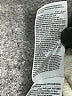 Gap Solid Ivory Casual Pants Size M - photo 5