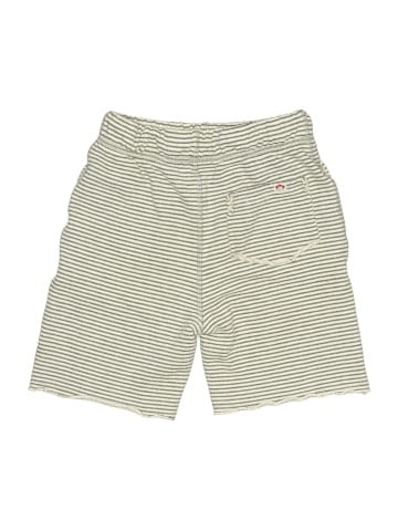 Appaman Shorts (view 2)