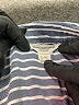 BeachLunchLounge Stripes Blue Long Sleeve Button-Down Shirt Size L - photo 7